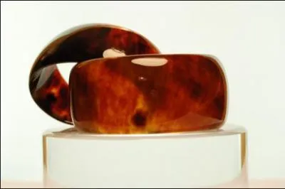 Que fait "Le dard du mépris... " ?