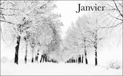 La Vouivre, le temps des secrets, à la recherche du temps perdu, voici un joli cocktail pour les fêter le 16 janvier :