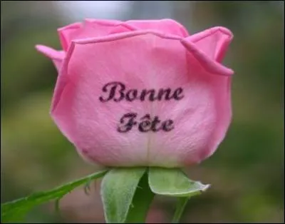 On lui souhaite "bonne fête" le 27 janvier : Mais qui a chanté cette "Mam'zelle" ?