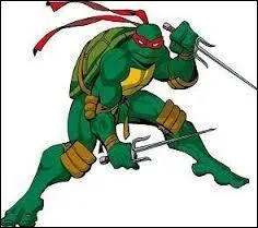 Quelle est la couleur favorite de Michelangelo ?