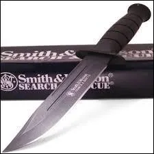 Quelle(s) est(sont) l'arme(les armes) favorite(s) de Raphaelo ?