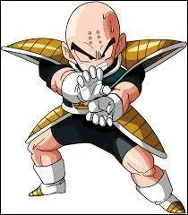 Quel est ce personnage ?