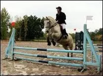 Quel est le nom de cet obstacle ?