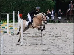 Quel est le nom de cet obstacle ?