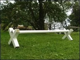 Quel est le nom de cet obstacle ?