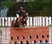 Quel est le nom de cet obstacle ?