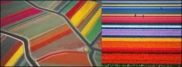 Comme c'est beau ! Qu'est-ce ?