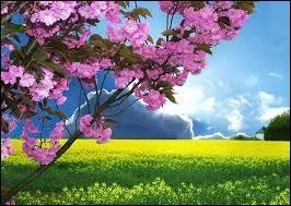 Et celles ci, elles ont été prises...