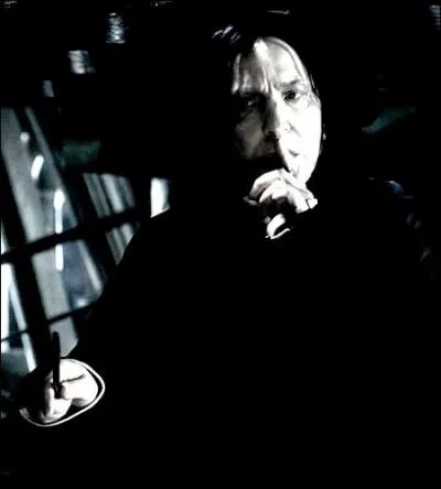 Voldemort est aussi à l'origine d'une société secrète, qui utilise les mêmes codes qu'une mafia moldue classique. La règle d'or : l'omerta... Chez les sorciers, on appelle ça...