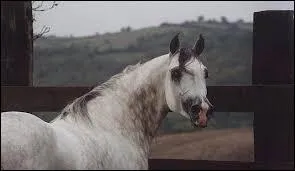 Qu'est-ce qu'un ladre ?