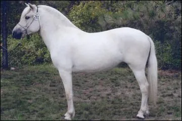 Question bonus. Quelles sont les robes d'un Fjord ?