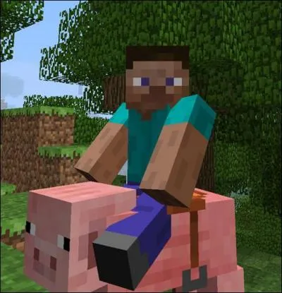 On peut monter sur son dos dans X et Y :