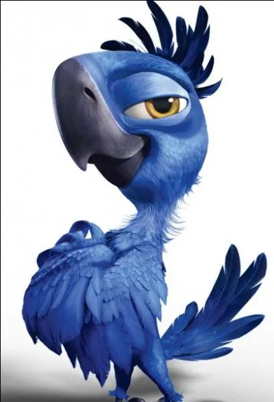 Quel est le prénom de cet oisillon ?