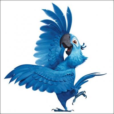 Qui est cet oiseau bleu ?