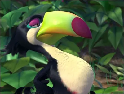Qui est ce toucan ?