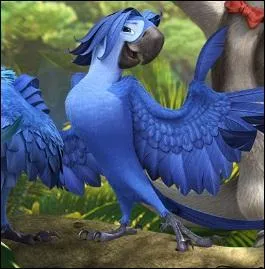 Qui est ce beau parleur ?