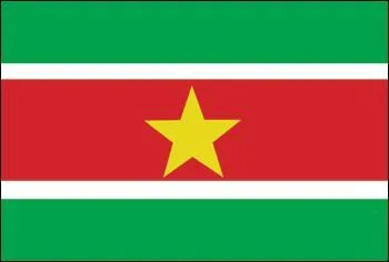 Je suis le drapeau...