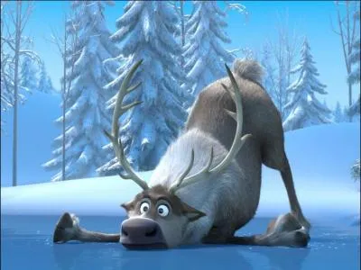 Quel est l'animal meilleur ami de Kristoff ?