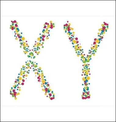 Que présente l'une de ces paires ?