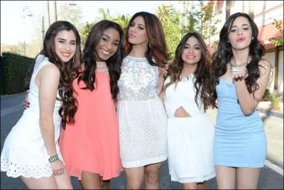 Elles ont participé à une tournée de Demi Lovato ; mais à laquelle ?