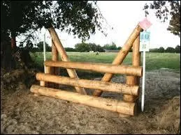 Comment se nomme cet obstacle ?