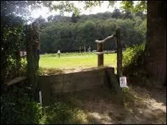 Le contre-haut privilégie :