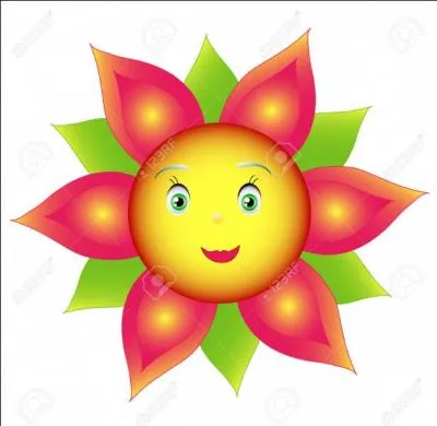 Ceux qui croient que je suis bien pensée se trompent. Quelle est ma couleur ?