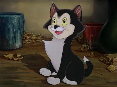 Quel est le nom du chat dans "Pinocchio" ?