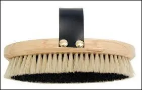 Quelle brosse n'existe pas ?