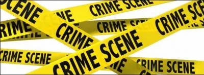 Novembre : Qui écrivait des romans policiers ?