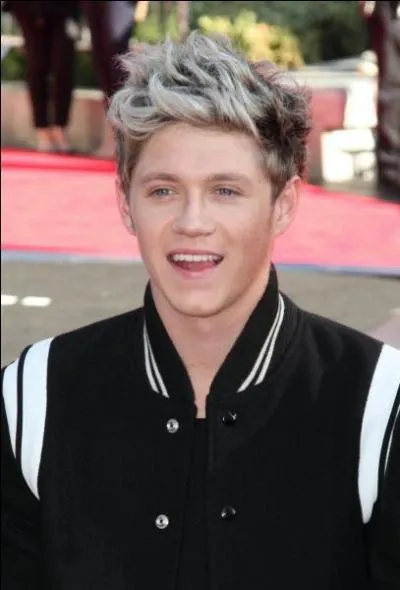 Quel type de filles Niall apprécie-t-il ?