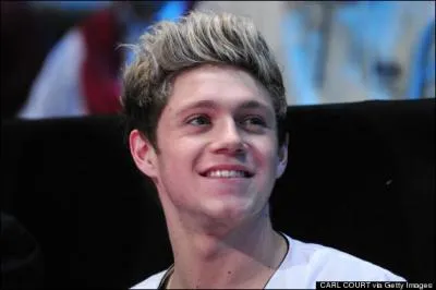 À quel âge Niall a-t-il commencé à jouer de la guitare ?