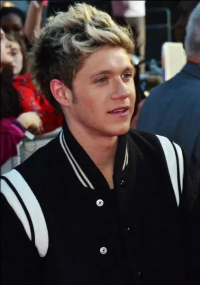 Avec qui Niall parle-t-il sur Skype le soir ?