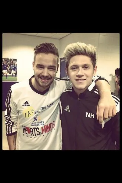 Pourquoi Liam a-t-il fait la tête à Niall pendant un bon moment ?