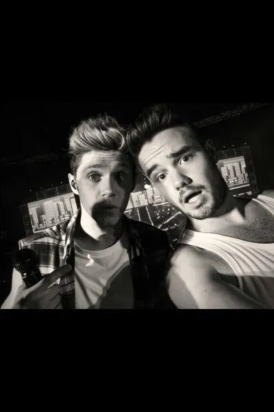 Quelles paroles de Niall ont-elles ému Liam au point de le faire pleurer ?