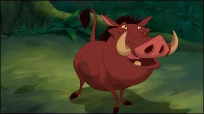 Qui est ce phacochère ?