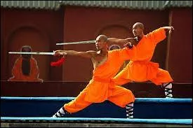 Ces moines appartiennent à un temple bouddhiste, célèbre pour son enseignement des arts martiaux chinois. Ce sont des moines :