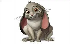 Ce petit lapin est-il dans "La Reine de neige" ?