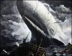 Lequel de ces noms appartient à ce cachalot ?