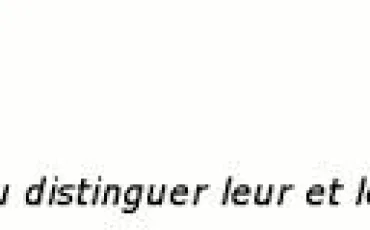 Quiz Orthographe