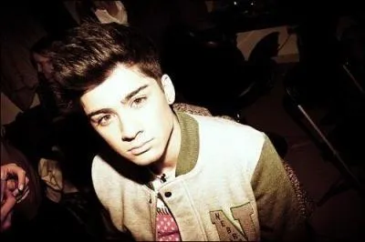 Comment est Zayn ?