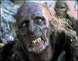 Quelle est cette crature ?