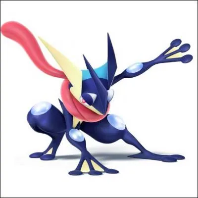 Quel est le nom de ce Pokémon ?