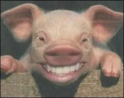 Si vous ne trouvez pas la réponse, pas de...