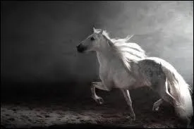 "Cheval vaut plus que richesse" est un proverbe espagnol.