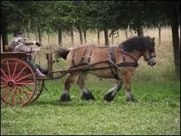 "Ne fouettez pas un cheval qui ne demande qu'à marcher" est un proverbe :