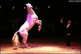 Qui a dit : "Cirque. Endroit où les chevaux, poneys, et les éléphants sont autorisés à voir des hommes, des femmes et des enfants se conduire comme des idiots." ?