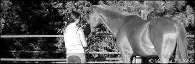 "Le cheval comprend plus facilement l'homme que l'homme ne comprend le cheval. On peut donc se demander si le cheval n'est pas largement supérieur à l'homme" est un proverbe d'André Maurois.