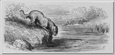 Dans le livre Sixième, que lâche le Chien pour l'Ombre ?