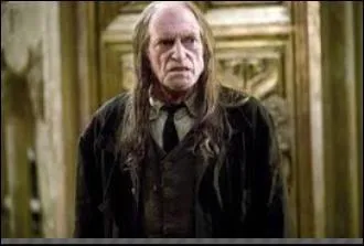 Qui est ce personnage de la saga "Harry Potter" ?